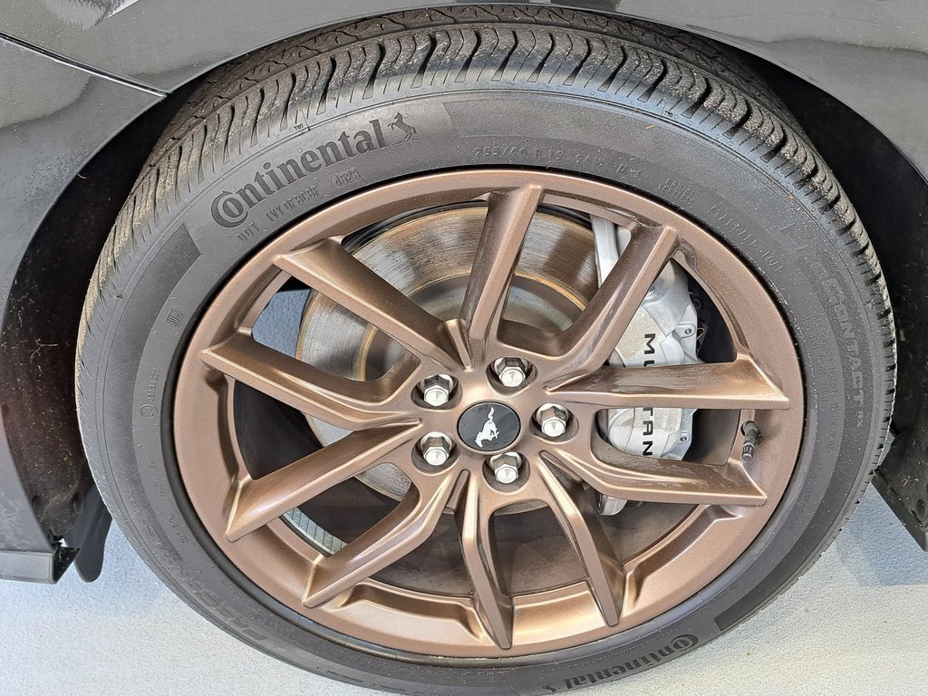 Used 2024 Ford Mustang GT Premium image 33