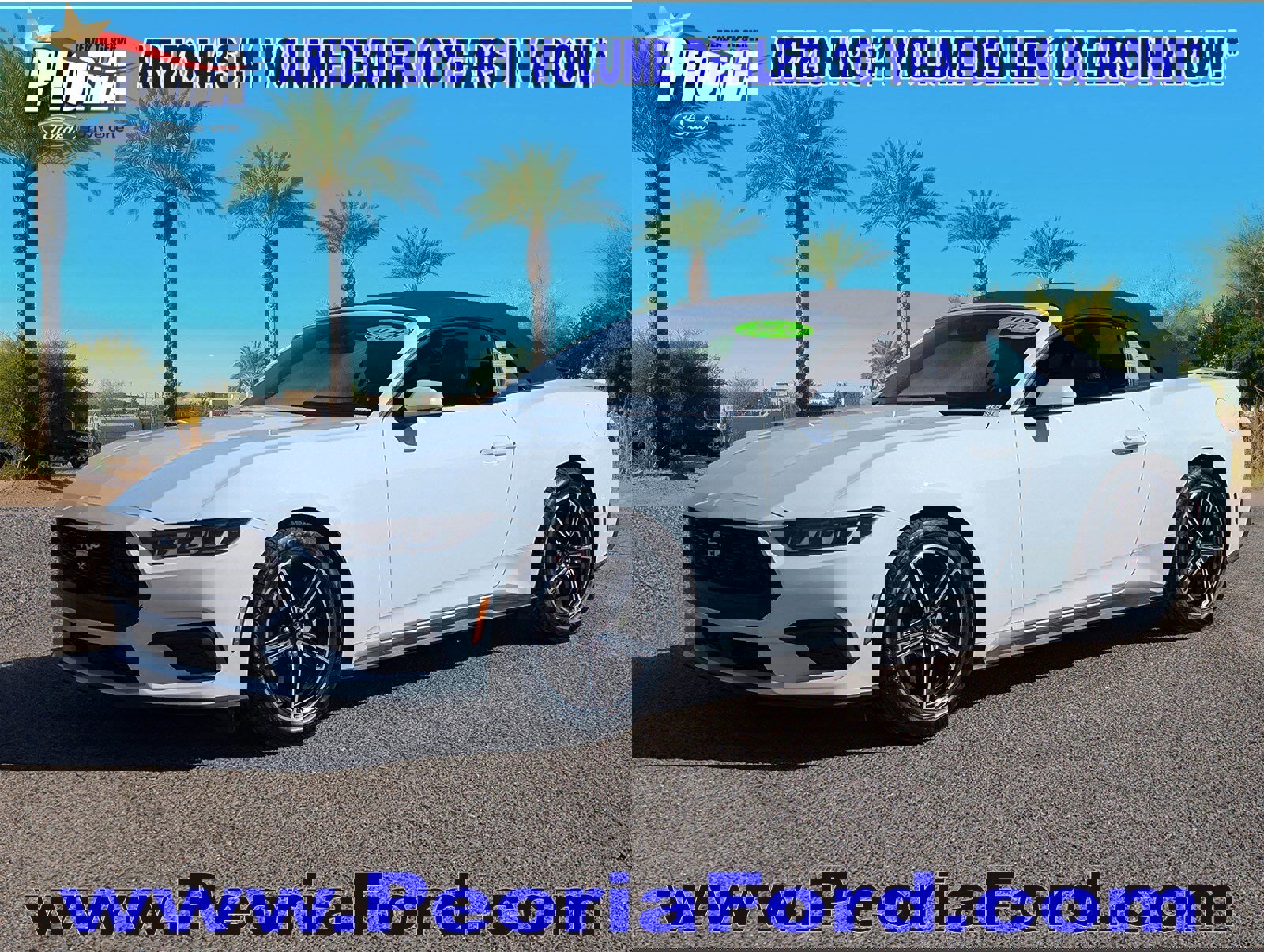 Certified 2024 Ford Mustang Premium image 1