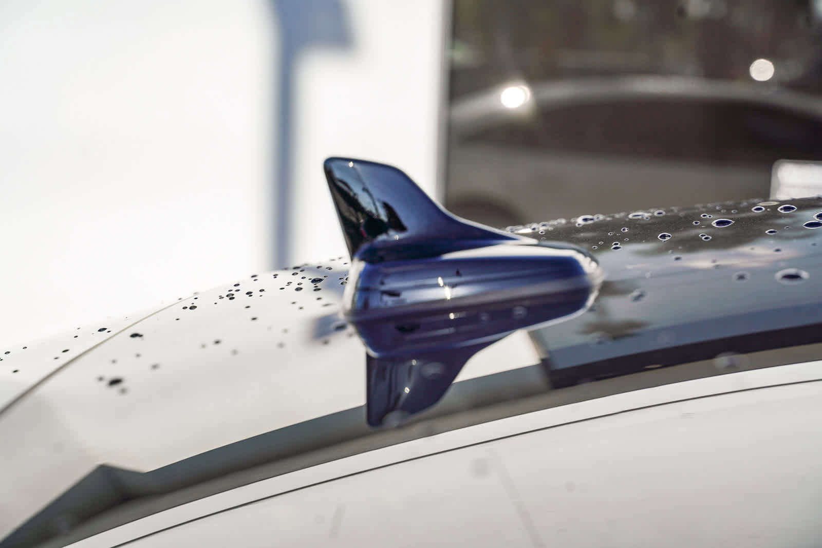 Used 2022 Audi S8 w/ S8 Comfort Plus Package image 15