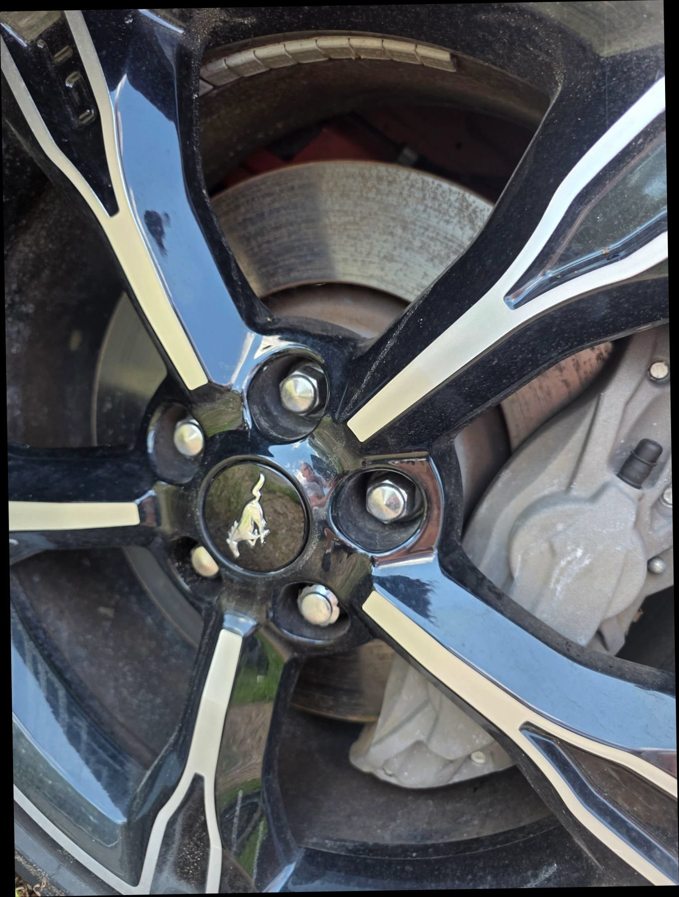 Used 2016 Ford Mustang GT Premium RWD image 37