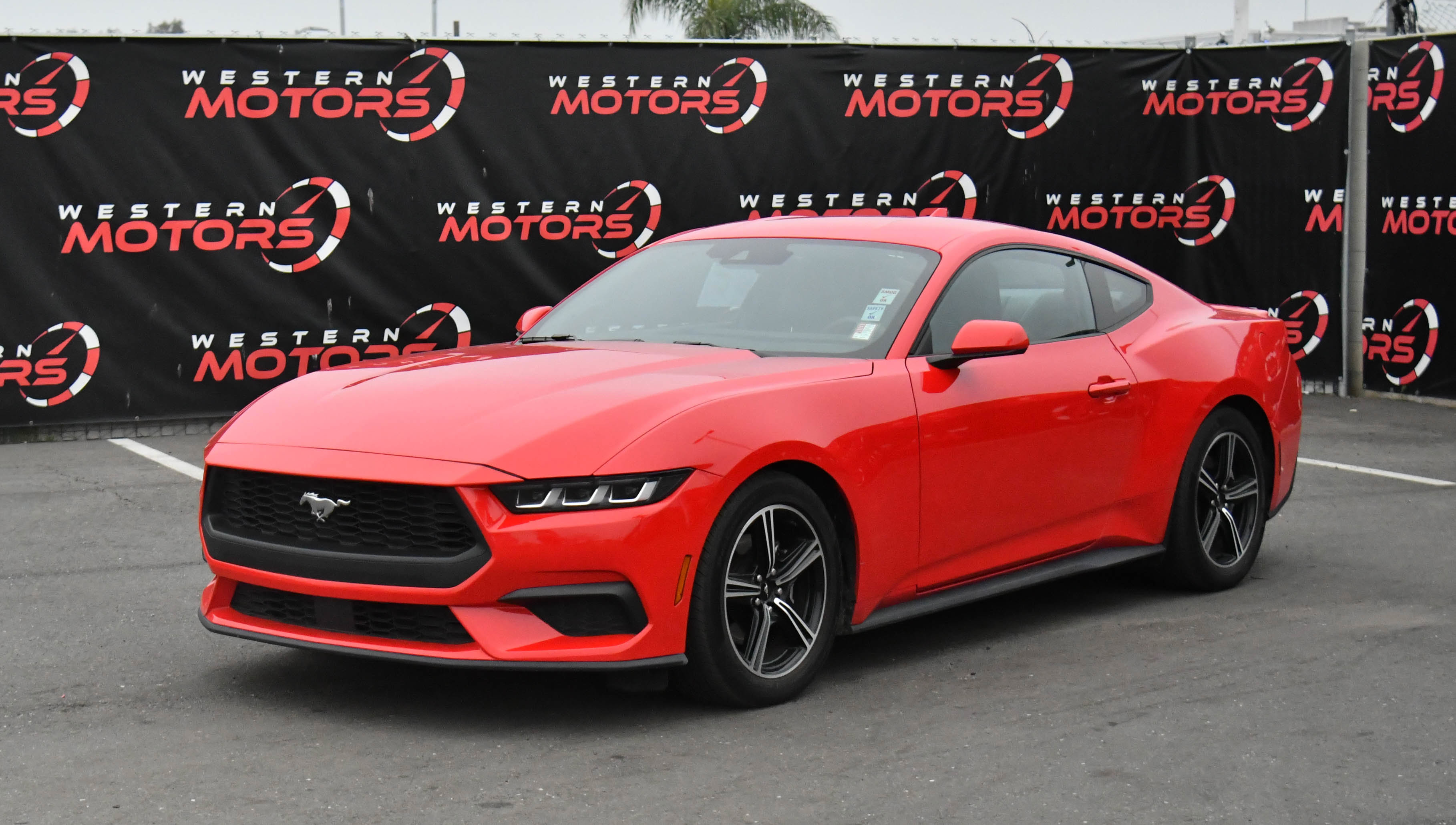 Used 2024 Ford Mustang Premium image 3