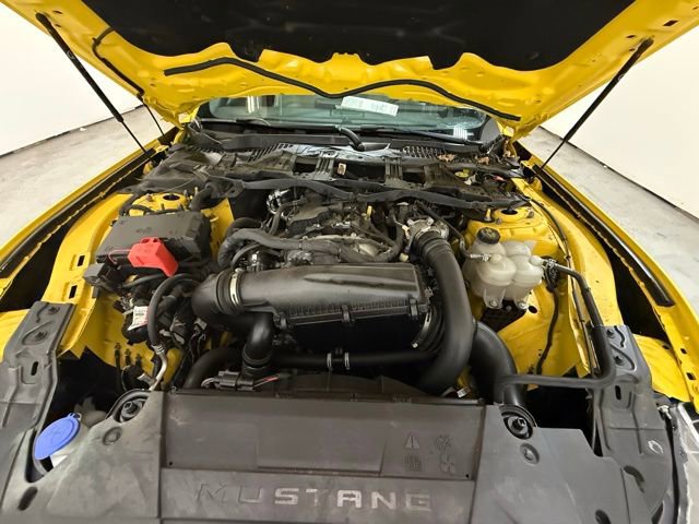 Used 2024 Ford Mustang Premium image 12