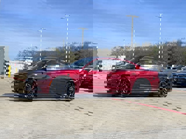 Used 2019 Dodge Charger SXT w/ Blacktop Package image 1