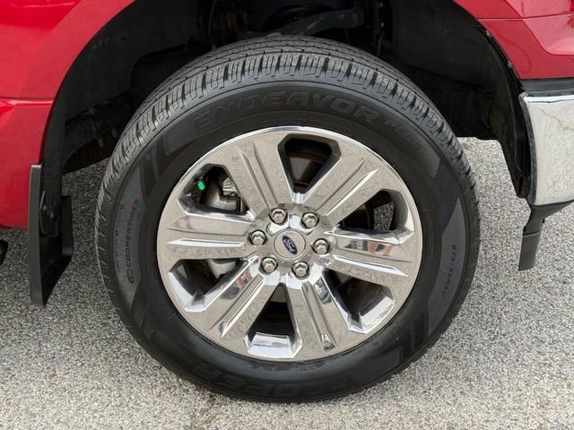 Used 2019 Ford F150 XLT w/ Equipment Group 302A Luxury image 7