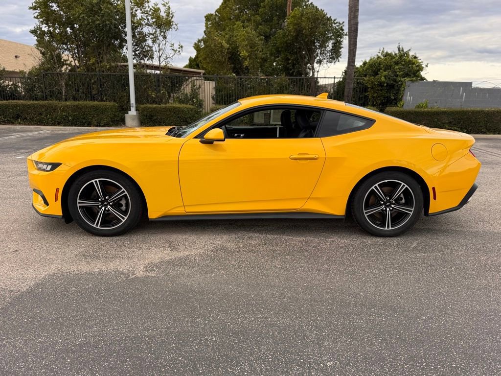 Used 2024 Ford Mustang EcoBoost image 5