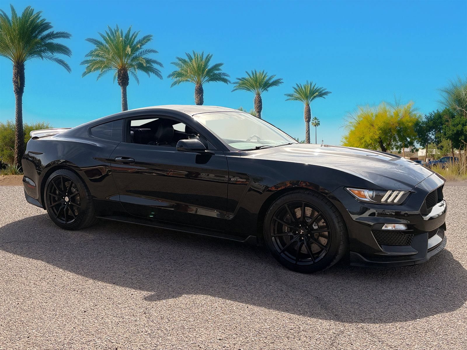 Used 2016 Ford Mustang Shelby GT350 w/ Technology Package RWD image 7