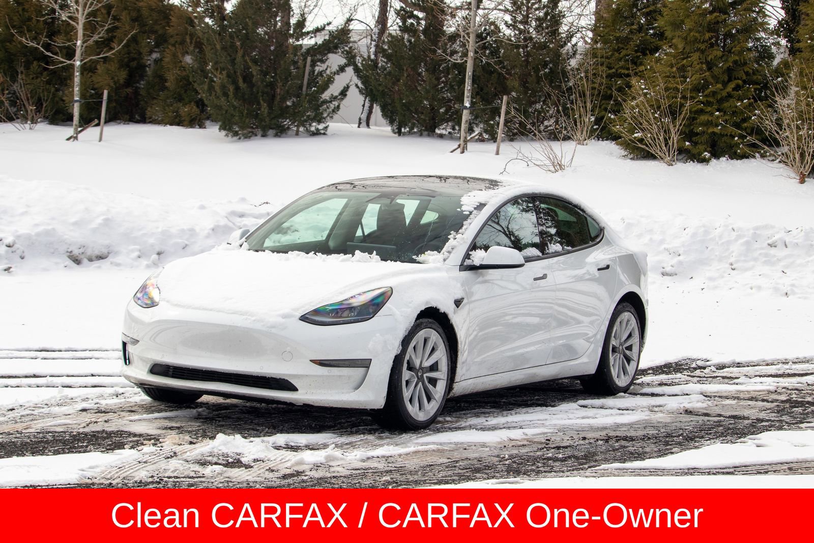 Used 2022 Tesla Model 3 Standard Range RWD image 1