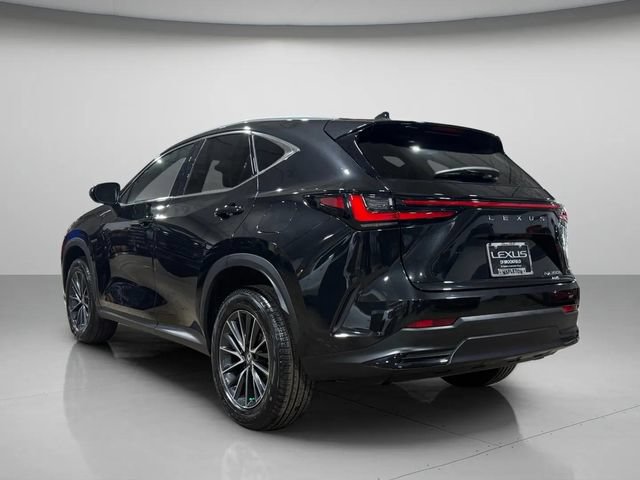 Certified 2024 Lexus NX 350h AWD w/ Cold Area Package image 5