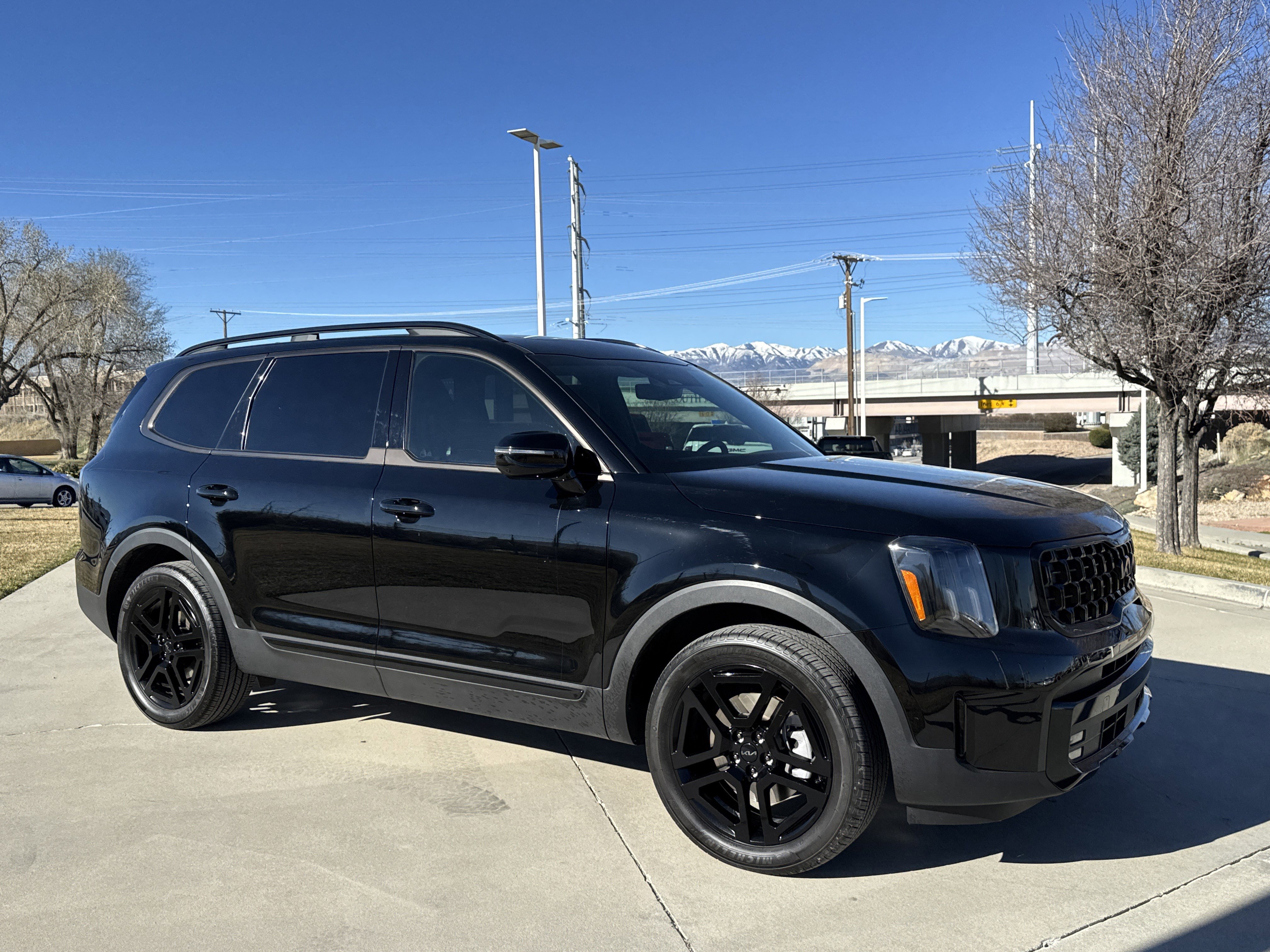 Used 2025 Kia Telluride SX Prestige X-Line image 7