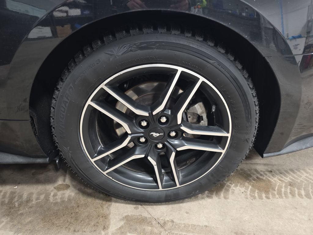 Used 2021 Ford Mustang Premium image 34