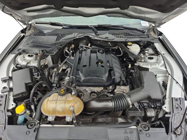 Used 2019 Ford Mustang Premium image 20