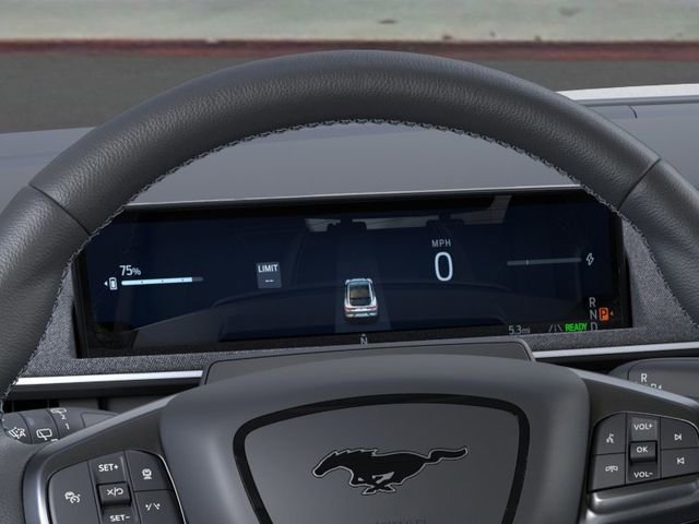 New 2025 Ford Mustang Mach-E GT image 13