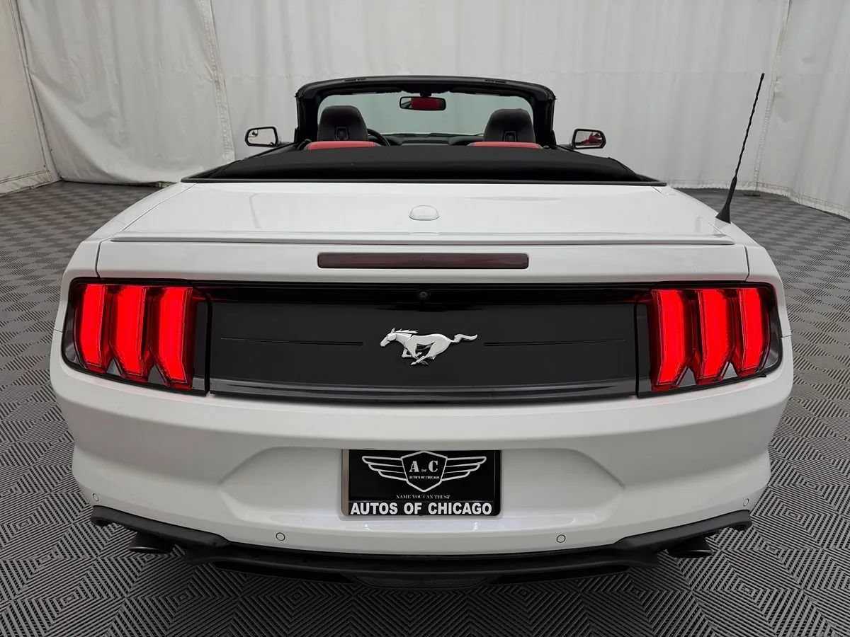 Used 2018 Ford Mustang Premium w/ Equipment Group 201A RWD image 6