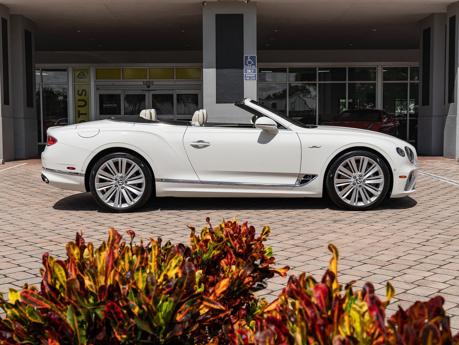 Used 2022 Bentley Continental GT Speed image 25