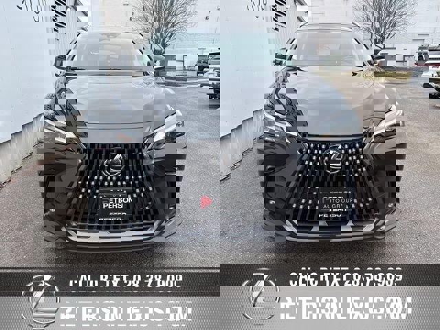 Certified 2024 Lexus NX 350h AWD w/ Cold Area Package image 8