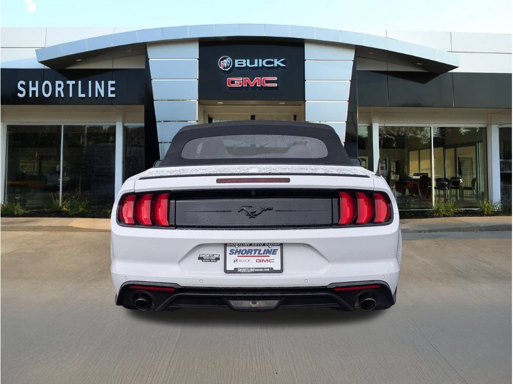 Used 2019 Ford Mustang Premium w/ Equipment Group 201A RWD image 4