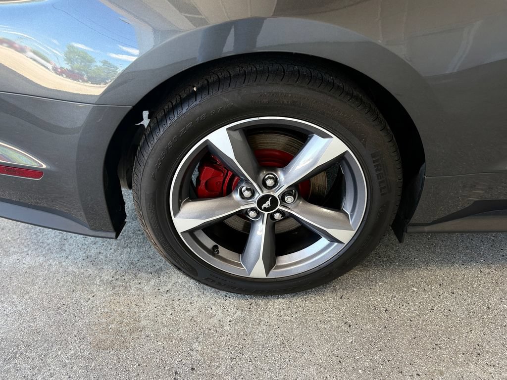 Used 2017 Ford Mustang GT Premium w/ Enhanced Security Package RWD image 28