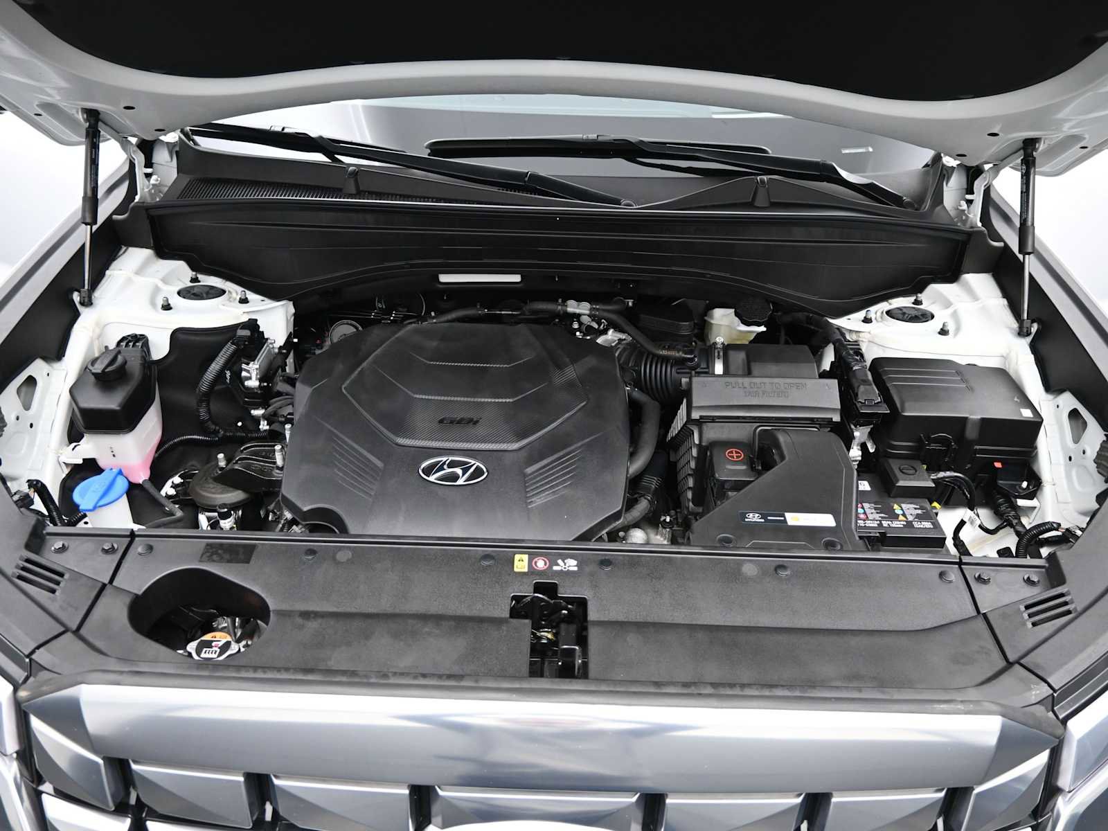 Used 2025 Hyundai Palisade Calligraphy image 20