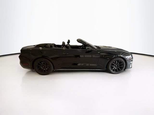 Used 2019 Ford Mustang Premium RWD image 7