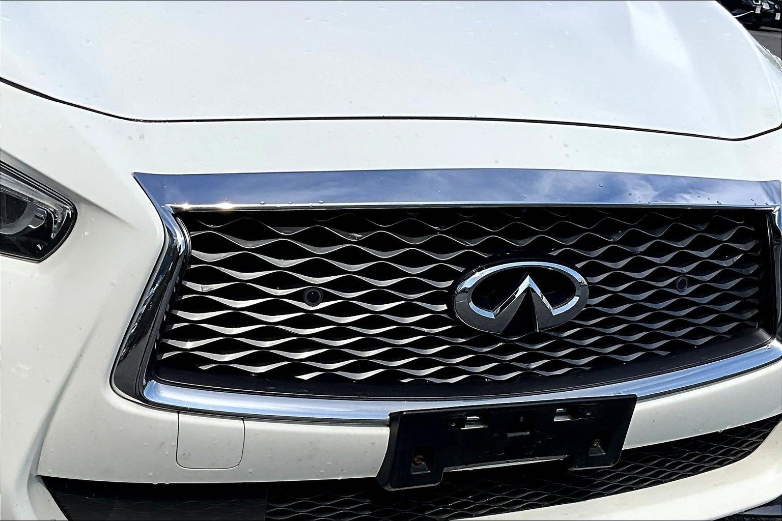 Used 2019 INFINITI Q50 Signature Edition w/ Cargo Package (L96) image 23