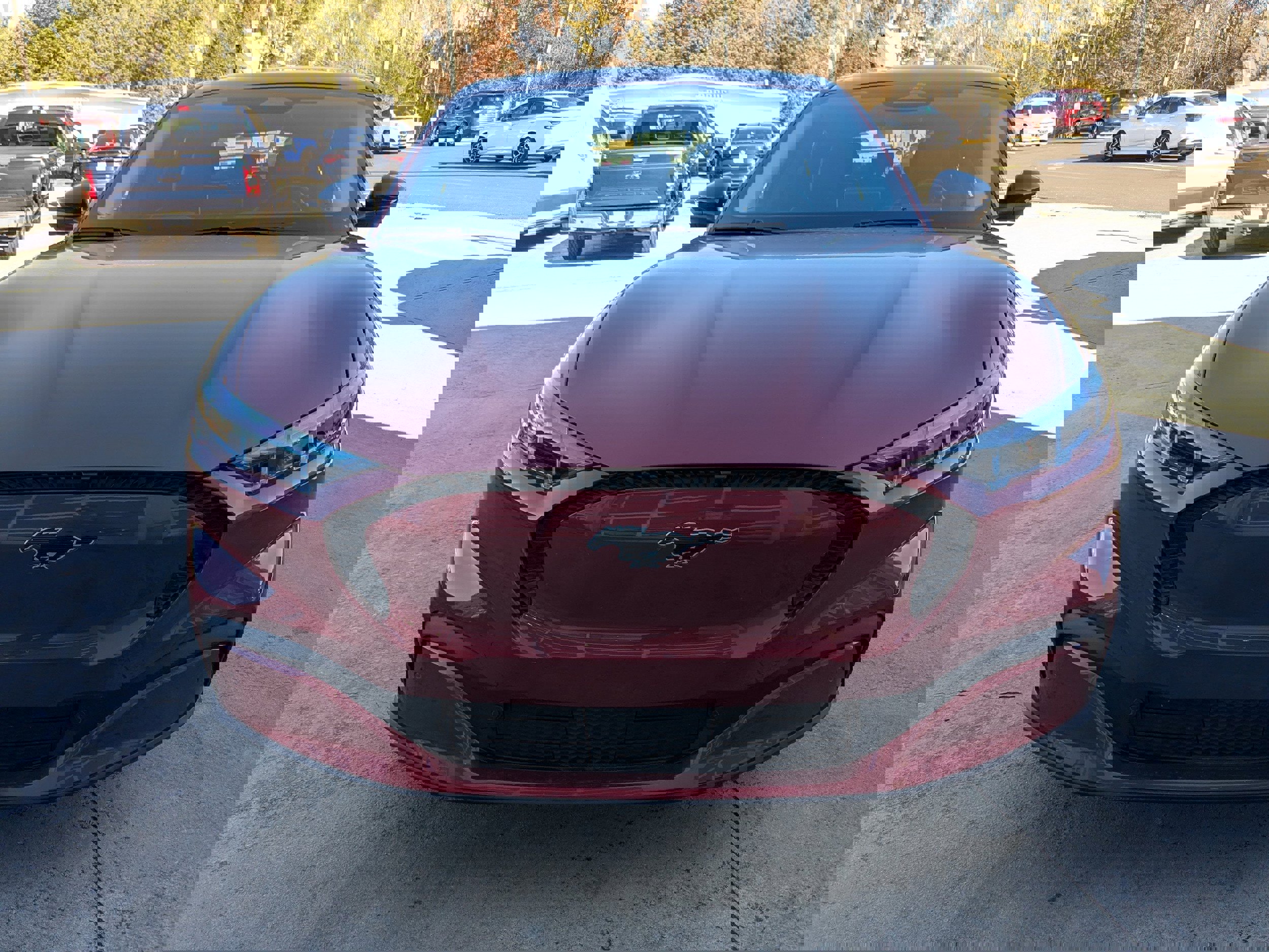 Used 2024 Ford Mustang Mach-E Select w/ Comfort Package Lite image 8