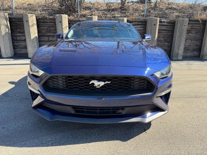 Used 2019 Ford Mustang Coupe RWD image 2