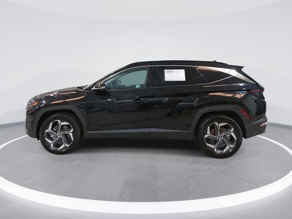 Certified 2024 Hyundai Tucson Limited image 8