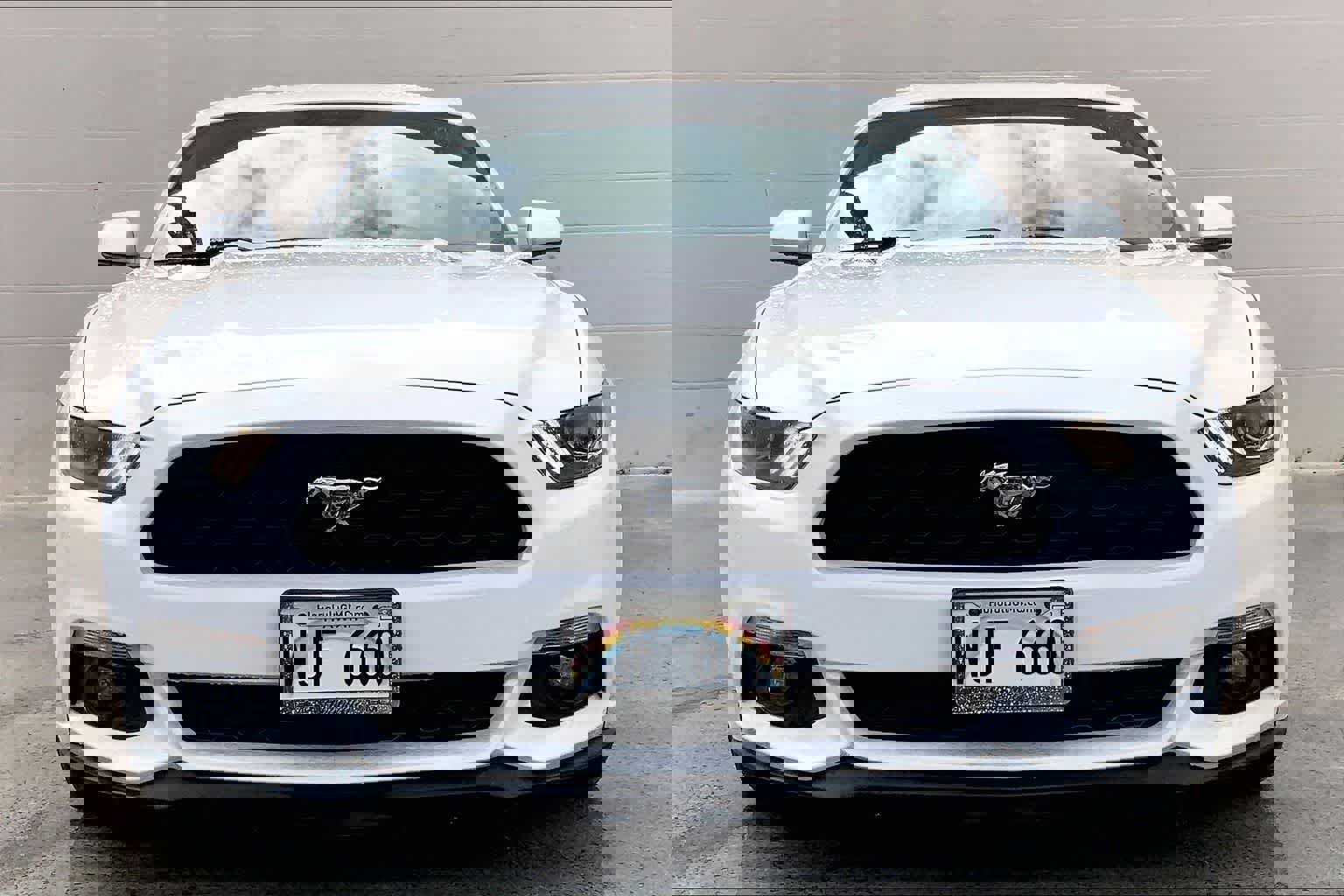 Used 2017 Ford Mustang EcoBoost image 7