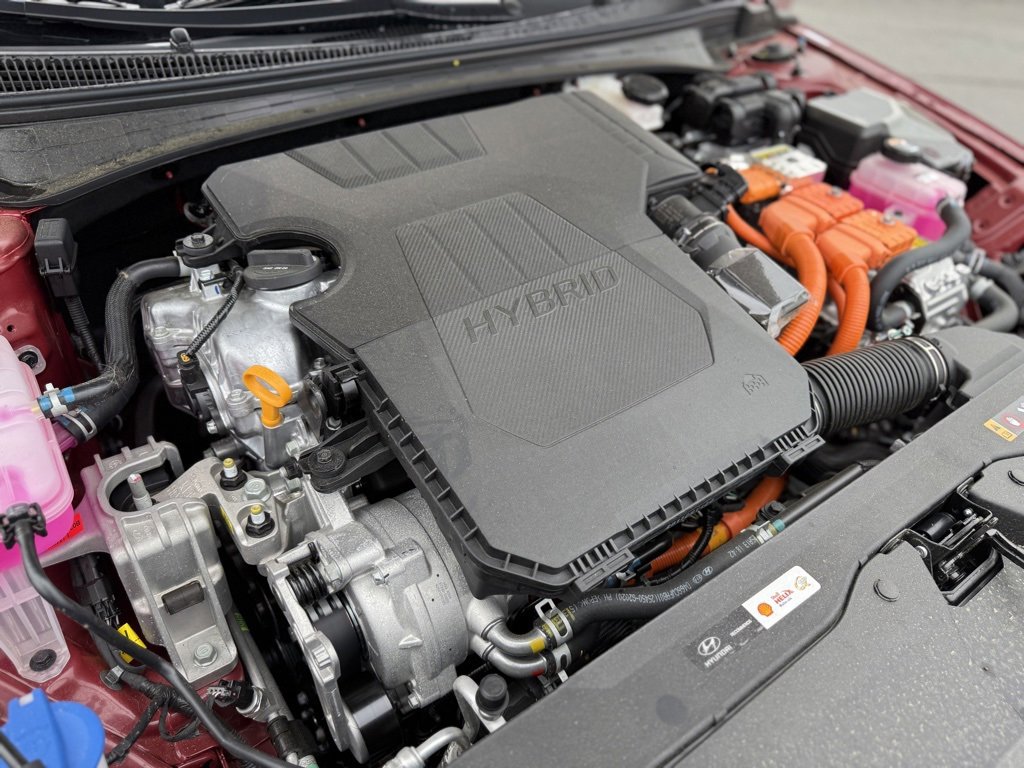 New 2025 Hyundai Elantra Limited image 46