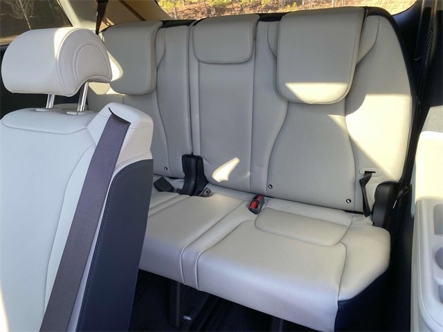 New 2025 Kia Carnival SX image 13