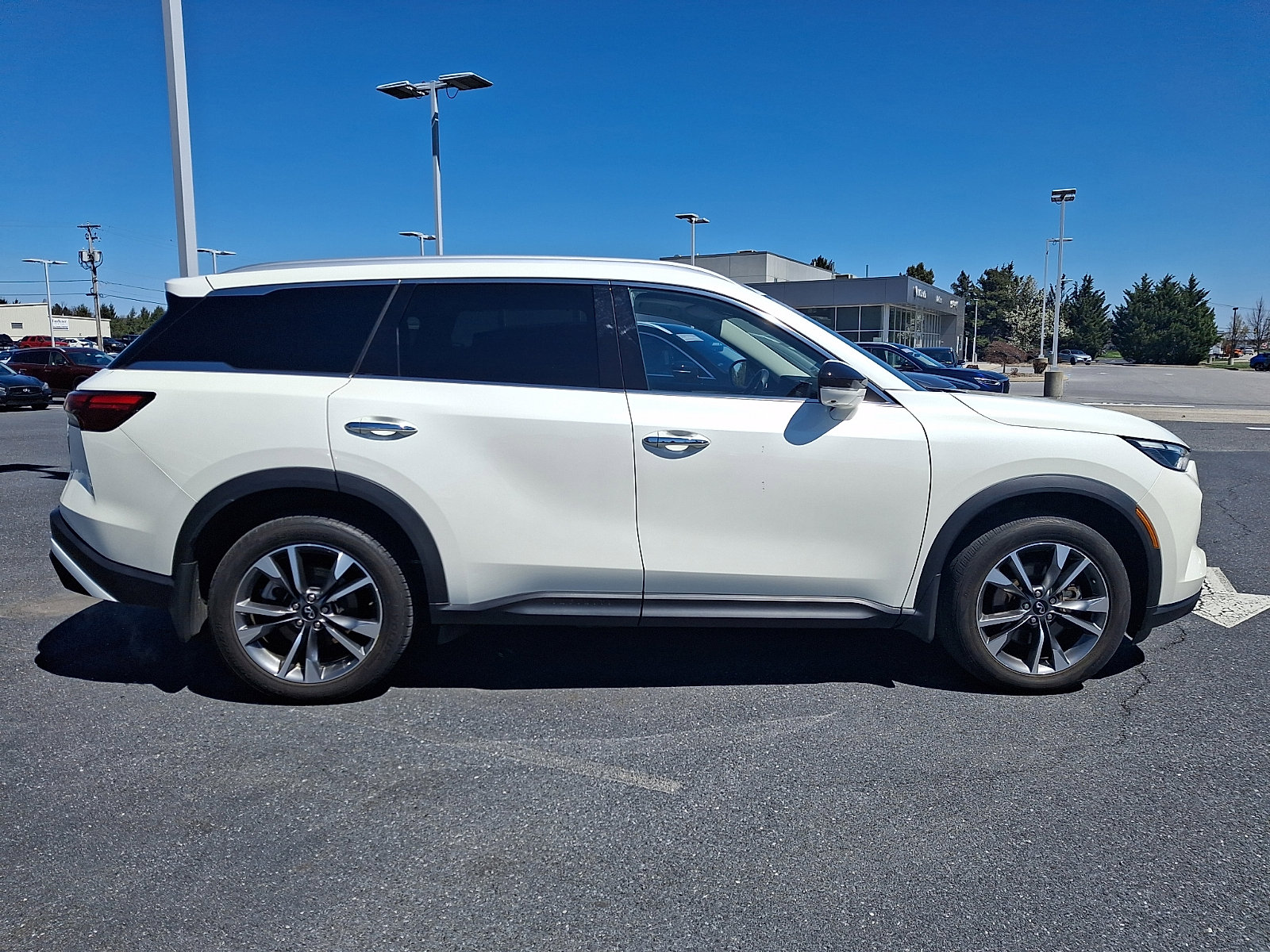 Certified 2023 INFINITI QX60 Luxe w/ Cargo Package image 7