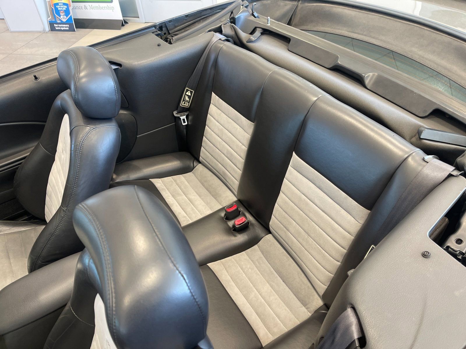 Used 2001 Ford Mustang Cobra RWD image 14