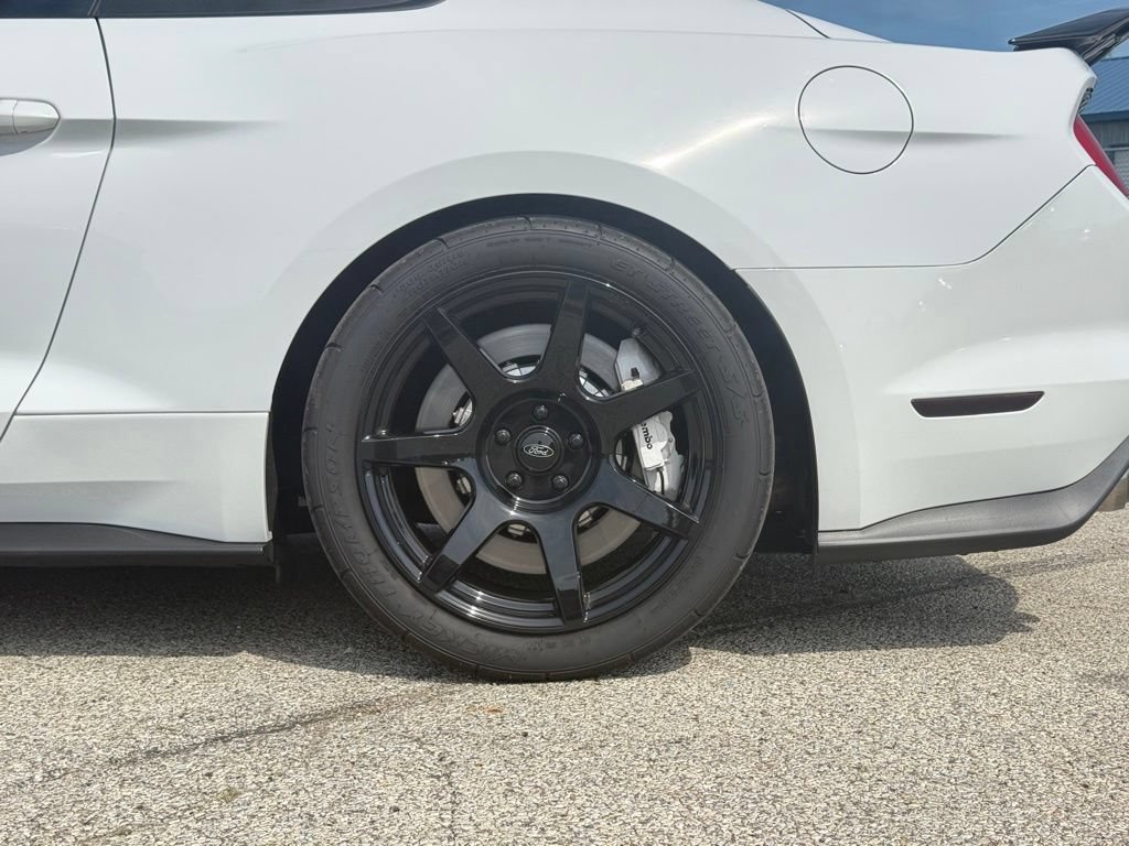 Used 2019 Ford Mustang Shelby GT350 w/ Technology Package RWD image 12