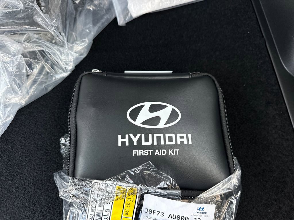 New 2025 Hyundai Ioniq 5 SEL AWD/4WD image 48