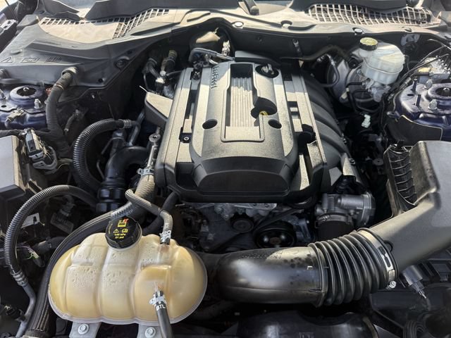 Used 2019 Ford Mustang Premium RWD image 30