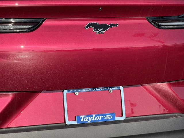 New 2025 Ford Mustang Mach-E Premium w/ Interior Protection Package image 7