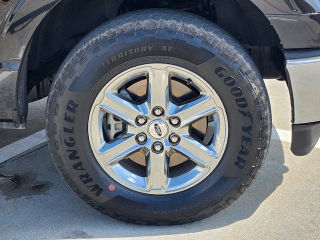 Used 2025 Ford F150 XLT w/ Equipment Group 301A Standard AWD/4WD image 10