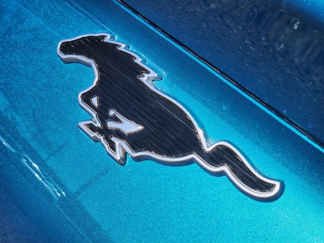 New 2026 Ford Mustang Mach-E Premium AWD/4WD image 16