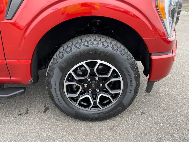 Used 2023 Ford F150 XLT w/ Equipment Group 302A High image 38