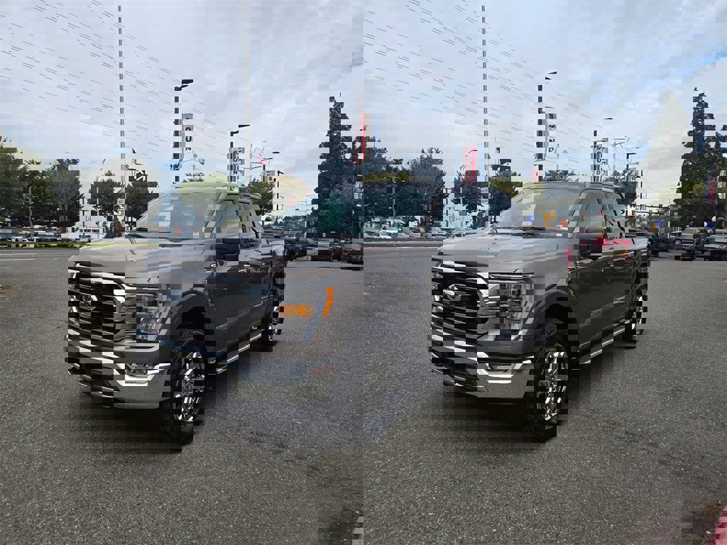 Used 2022 Ford F150 XLT w/ Equipment Group 302A High