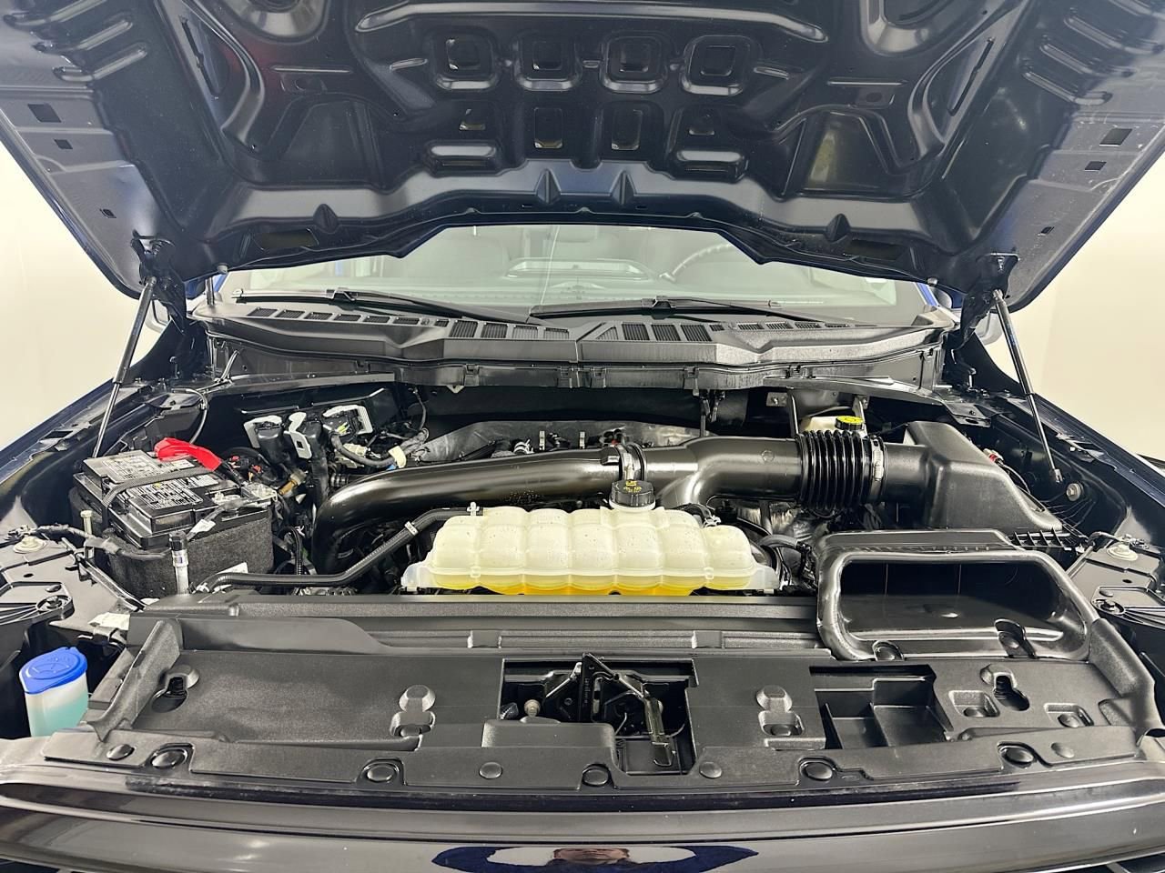 Used 2025 Ford F150 XLT w/ Equipment Group 301A Standard image 40