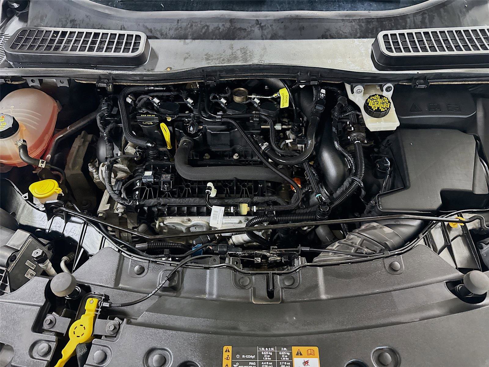 Used 2019 Ford Escape SE image 28