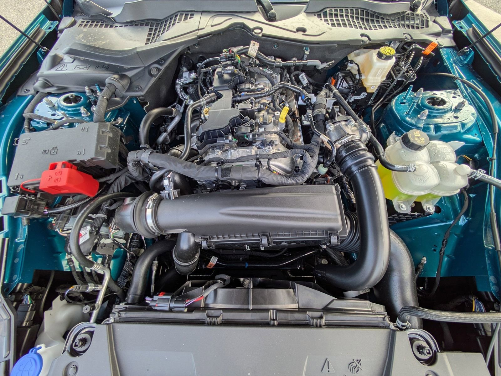 New 2026 Ford Mustang EcoBoost w/ Bronze Appearance Package image 13