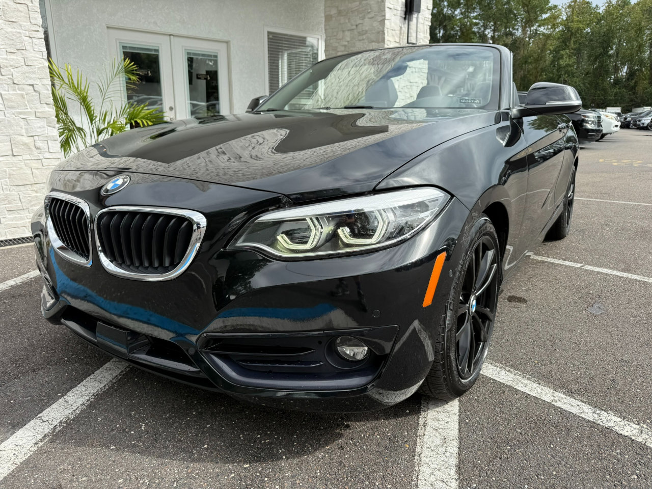 Used 2019 BMW 230i xDrive 230i xDrive Convertible w/ Premium Package image 9