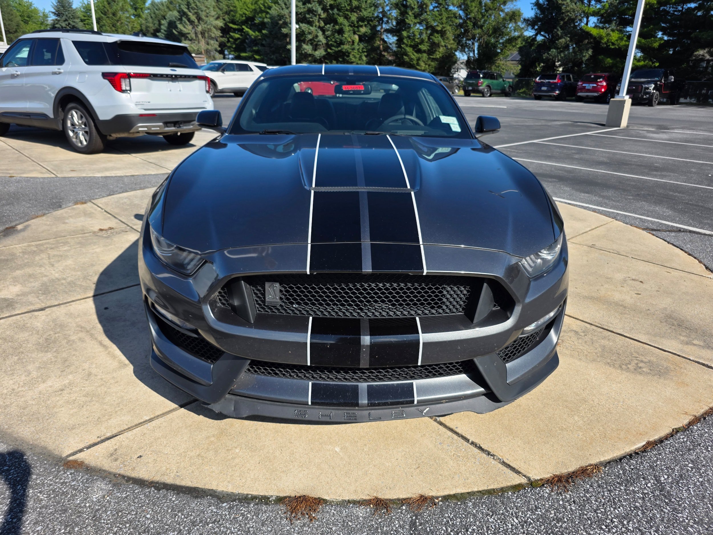 Certified 2018 Ford Mustang Shelby GT350 w/ Convenience Package RWD image 8