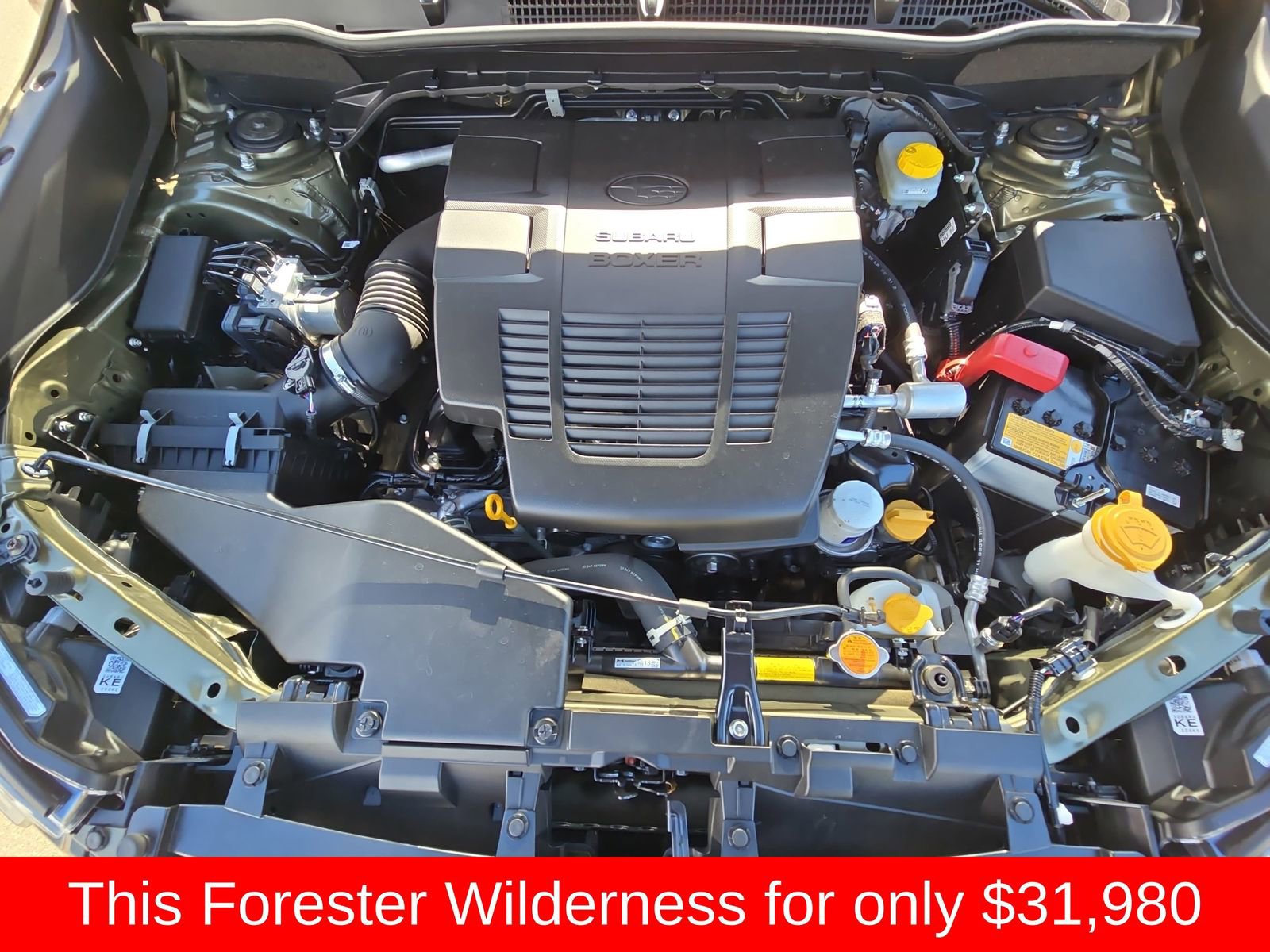Used 2024 Subaru Forester Wilderness AWD/4WD image 37