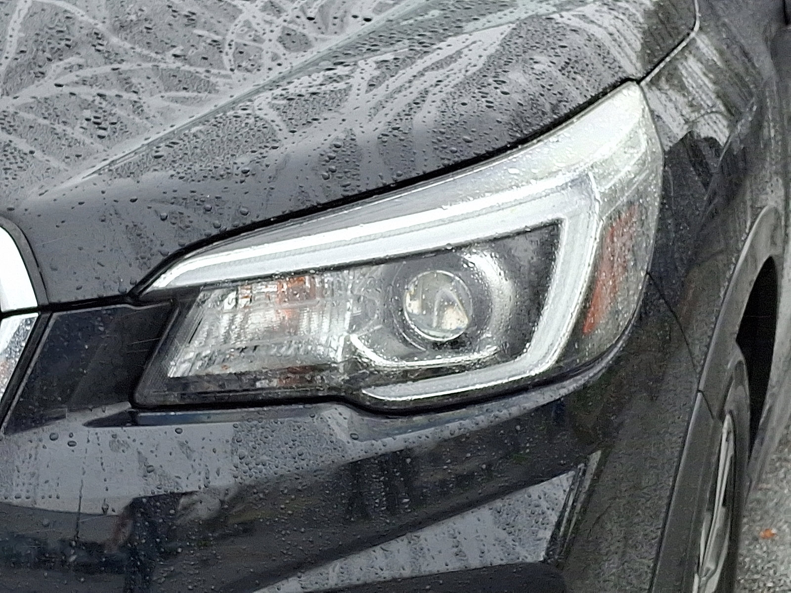 Used 2019 Subaru Forester Limited image 7