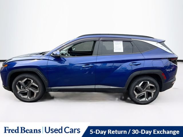 Used 2024 Hyundai Tucson Limited AWD/4WD image 5