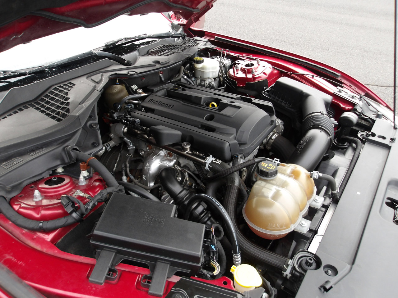 Used 2016 Ford Mustang Coupe w/ Interior & Wheel Package image 17