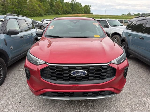 Used 2024 Ford Escape ST-Line w/ Tech Pack #1 AWD/4WD image 3